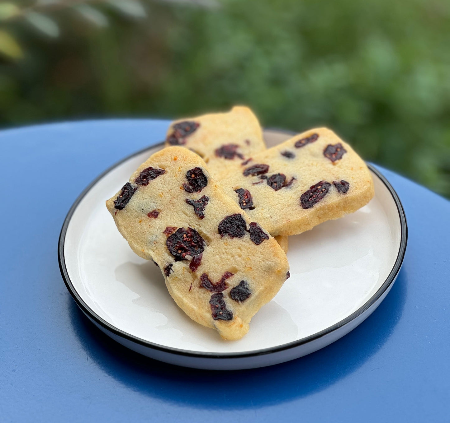 Cranberry Orange Shortbread