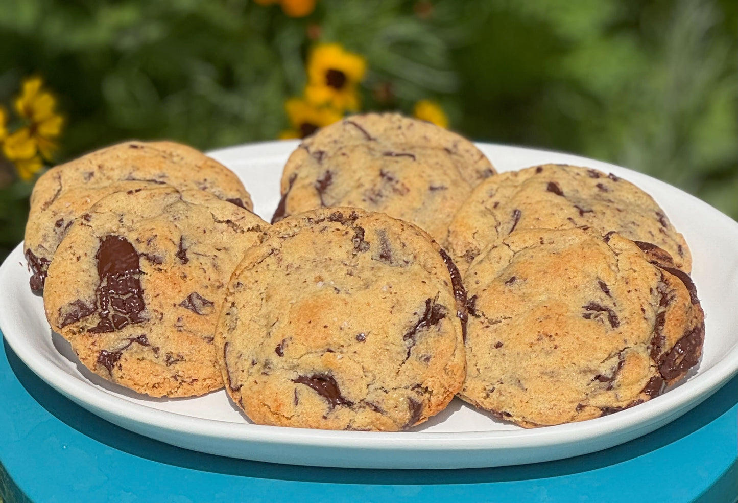 Chocolate Chip Cookie