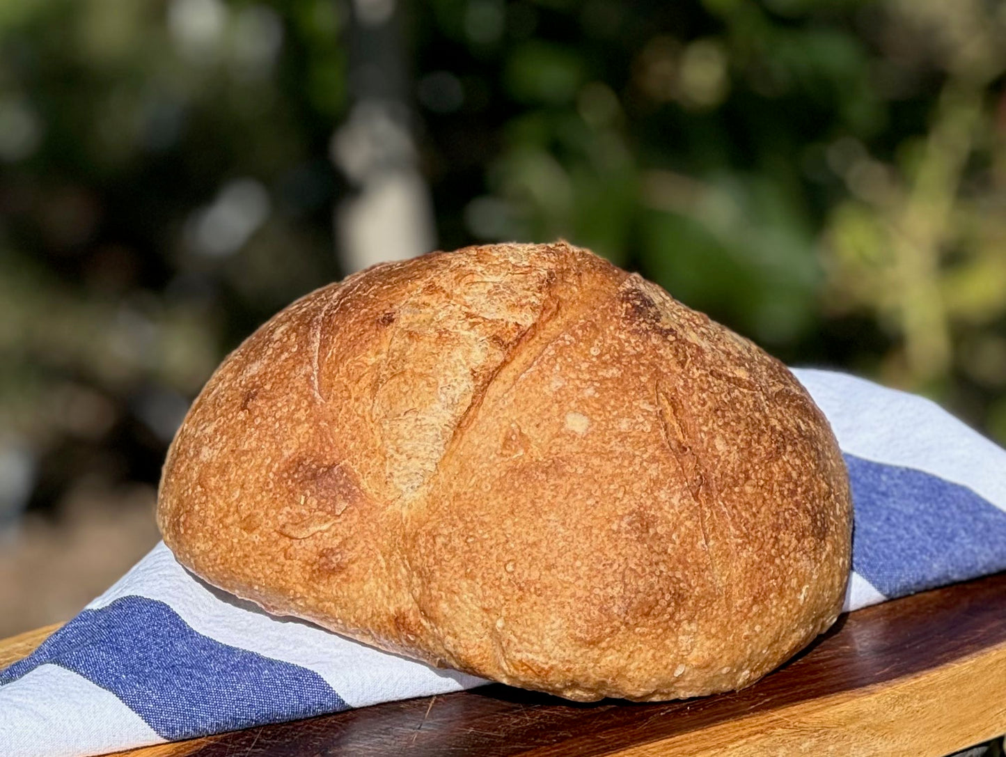 Sourdough Loaf